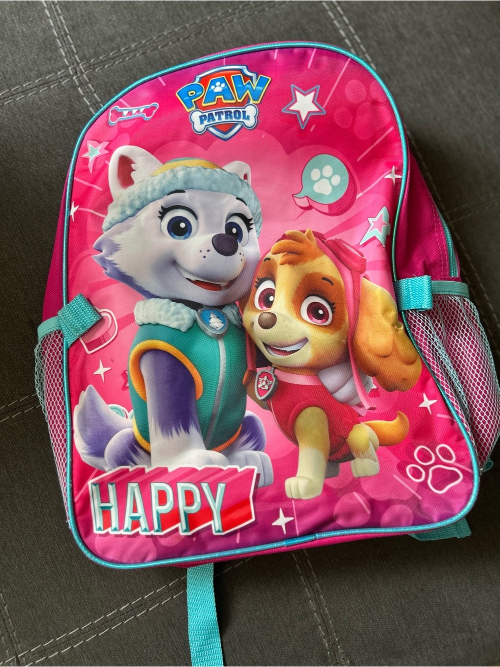 Paw Patrol Girls Backpack in Pink with Teal Accents